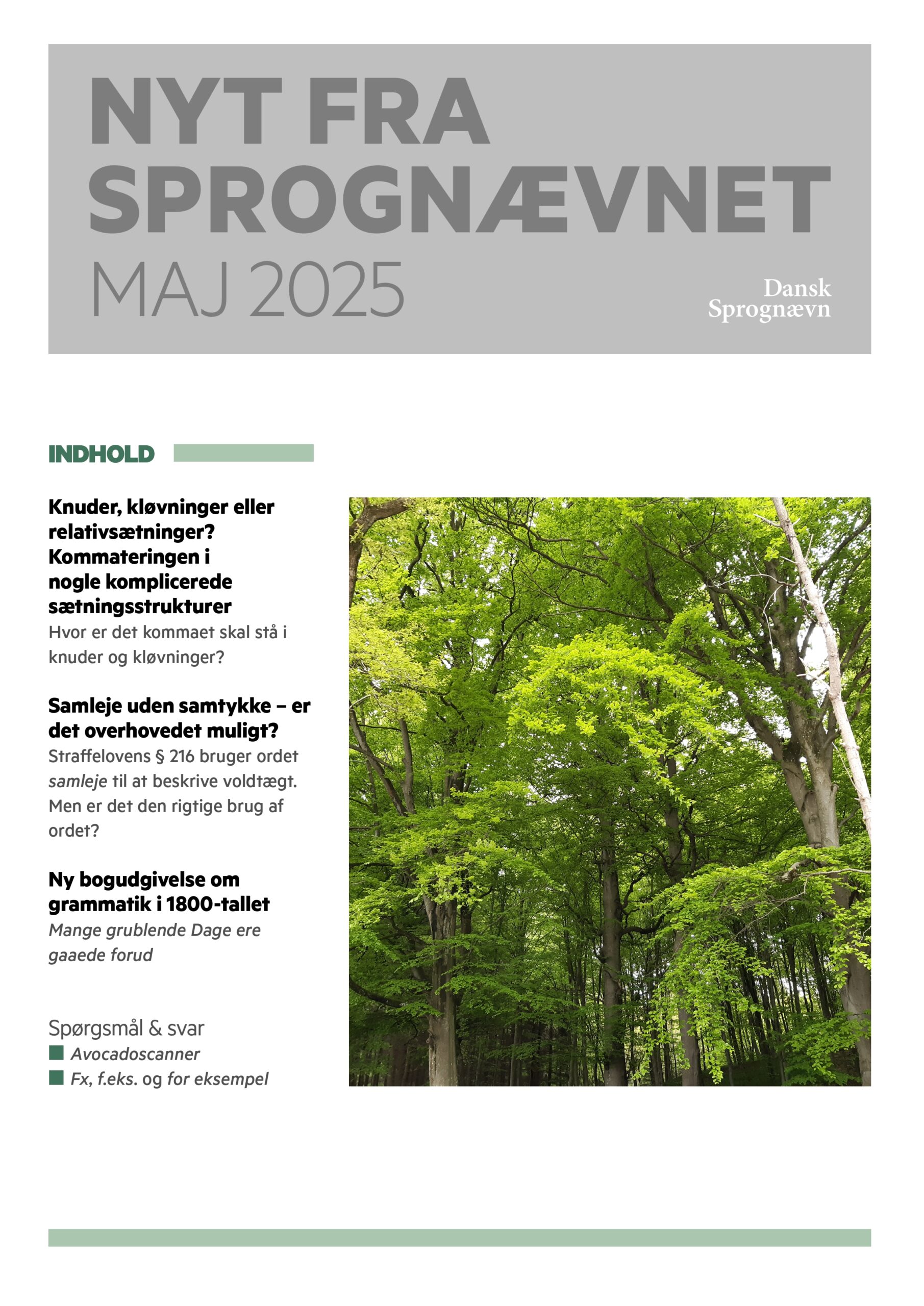 NfS maj 2025_web_final_page-0001